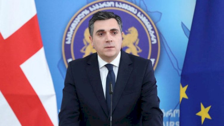    Gürcüstanın xarici işlər naziri Azərbaycana səfər edəcək   