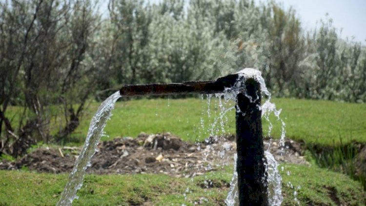    Həyat mənbəyi olan su: Bu sərvəti qoruyub saxlamaq üçün nələr etməliyik?   
