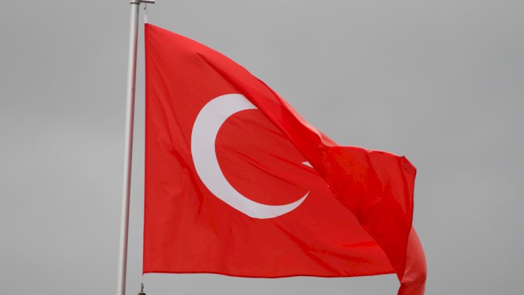    Özbəkistan vətəndaşı Türkiyəyə təhvil verildi   