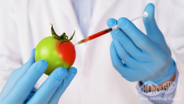    GMO və yem məhsulları ilə bağlı YENİLİK   