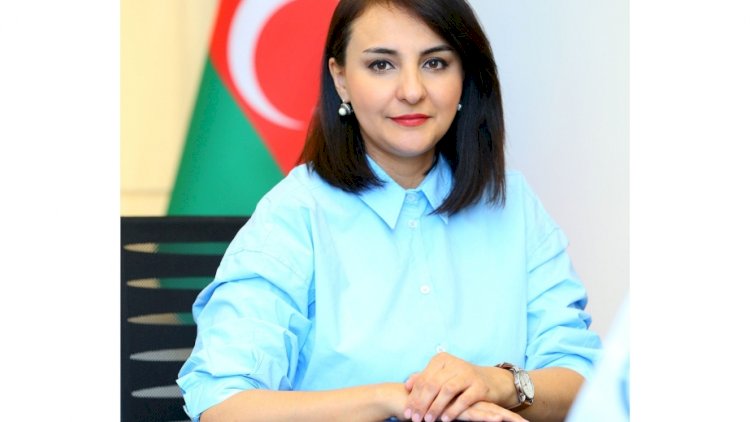    “Agentliklə hədə, şantaj dili ilə danışmağın ümumi işə heç bir təsiri yoxdur”   