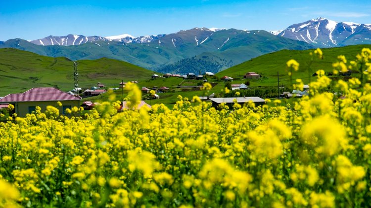    Bayram günlərində rayonlarda hava necə olacaq?   