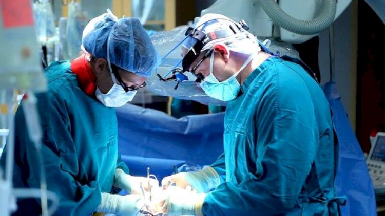    62 yaşlı kişiyə donuz böyrəyi köçürüldü    