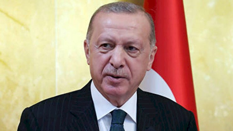    Ərdoğanın sülh təklifində nələr var? - Sənəd yayıldı    