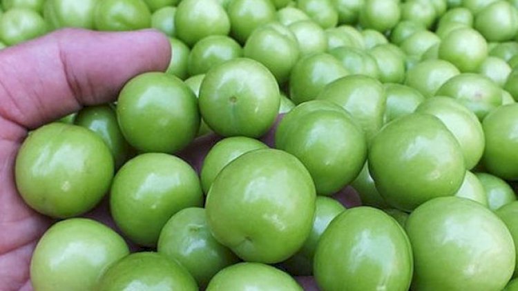    500 manatlıq alçadan son xəbər – Video   