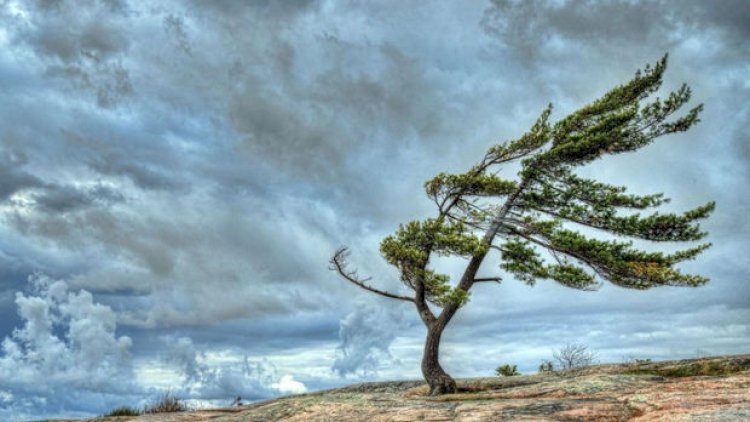    Küləkli hava ilə bağlı əhaliyə çağırış   