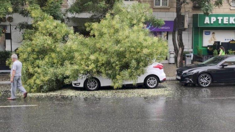    Külək daha da şiddətləndi: Əhaliyə yenidən xəbərdarlıq edildi   