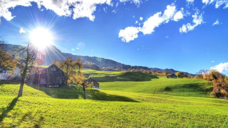    Sabah 20 dərəcə isti olacaq    