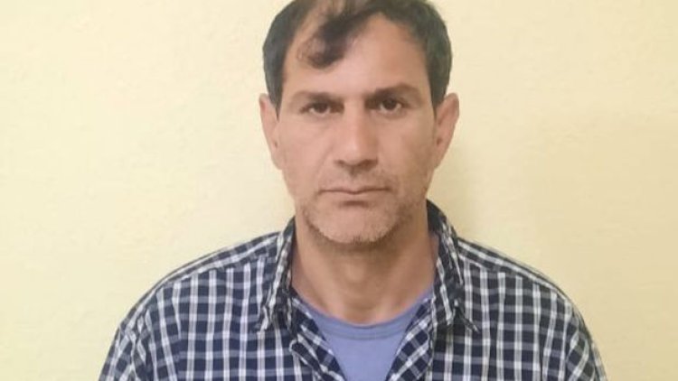    İsmayıllıda evində çətənə bitkisi yetişdirən şəxs saxlanıldı   