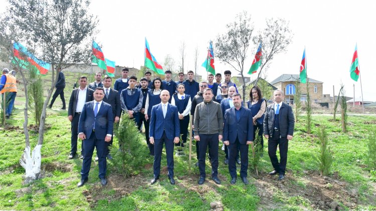    Abşeronda ağacəkmə və təmizlik aksiyası - Fotolar   