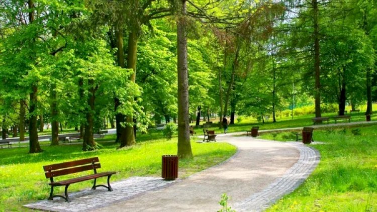    Parklarda olan təhlükə: Ölümcül xəstəliyə tutula bilərsiniz!    