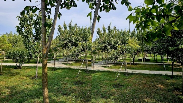    Bu, lap ağ oldu! - Bakıda 1 sot torpaq 1,5 milyon manata satılır   