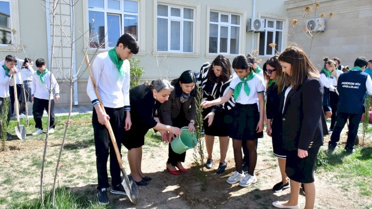    Abşeronda ağacəkmə və təmizlik aksiyaları keçirildi - FOTOLAR    