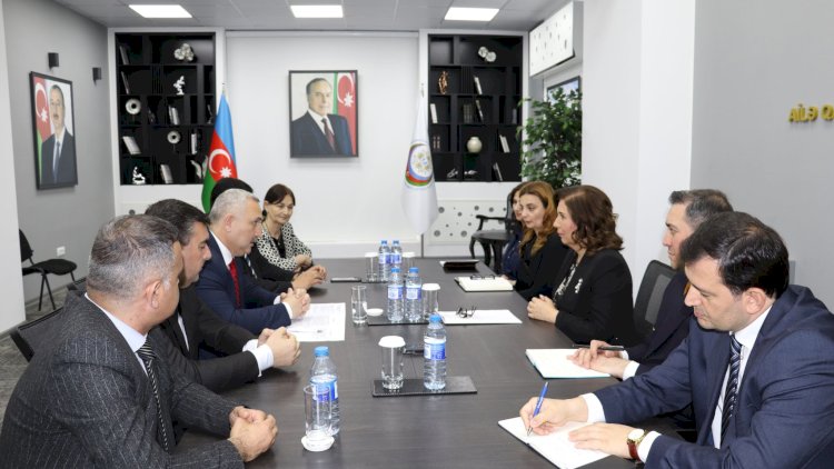    Miqrasiya Əməkdaşlıq Platformasının təmsilçiləri ilə görüş keçirildi - Fotolar   