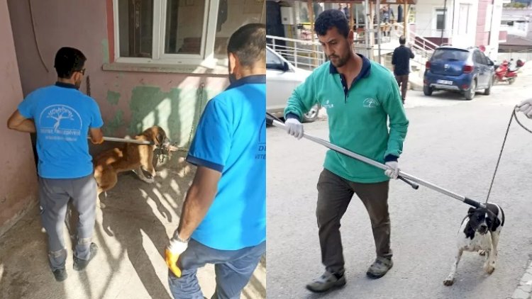    Quduzluq həyəcanı: 2 məhəllə karantinə alındı! - Fotolar   