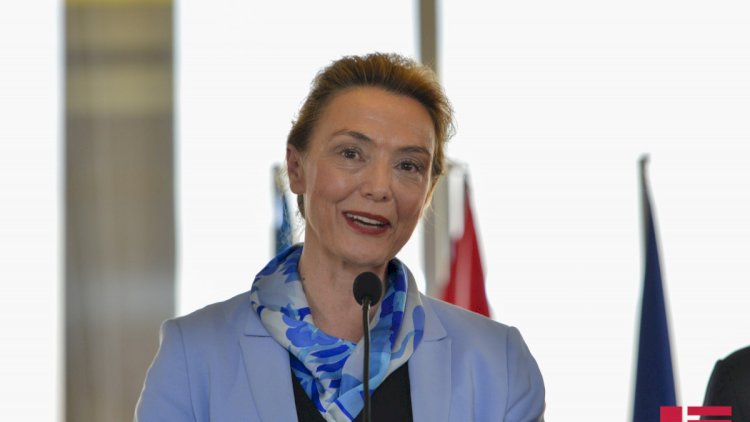    Avropa Şurasının baş katibi delimitasiya prosesini alqışladı   