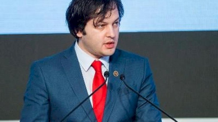    Kobaxidze keçmiş səfiri ölkəni qarışdırmaqda ittihamladı   