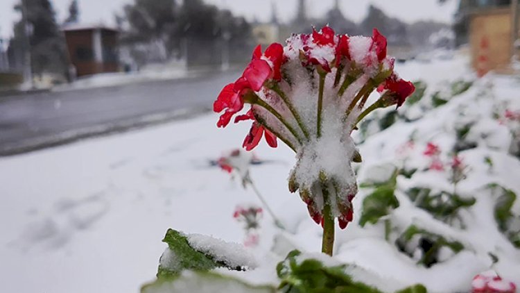    Qış havası geri qayıdır: Yağış, dolu, qar...   