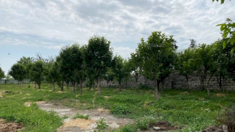    Bakıya intensiv köç: Rayonlarda ucuz evlər satışa çıxarıldı - ŞOK QİYMƏTLƏR   