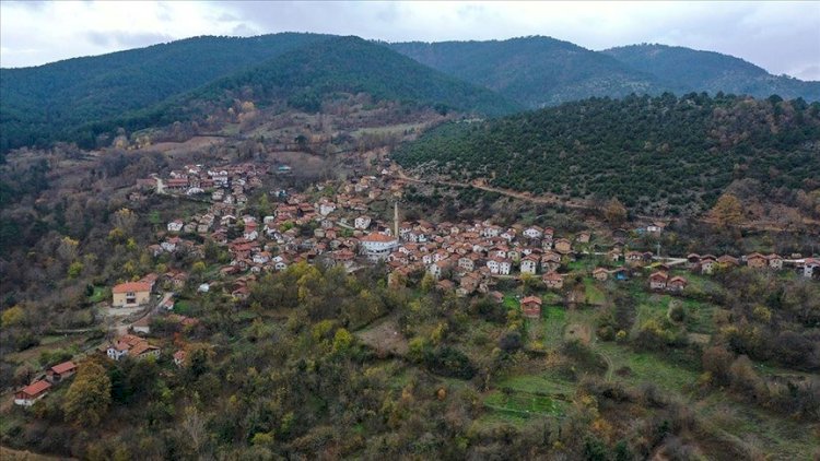    Türkiyənin 2 vilayəti üçün XƏBƏRDARLIQ - 8 bala qədər zəlzələ olacaq    