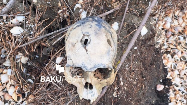    Neftçalada üzərində güllə izi olan kəllə skeleti tapıldı - FOTOLAR     