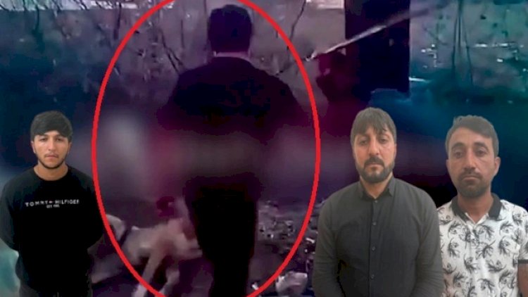    Naxçıvanda itlərə dəhşətli işgəncə verənlərin adları açıqlandı - FOTOLAR   