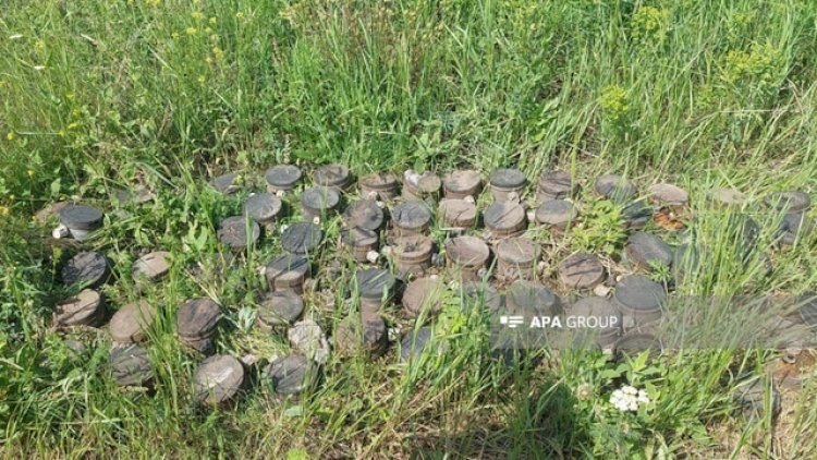    Bağanıs Ayrım kəndində minatəmizləmə işləri davam edir - Fotolar   