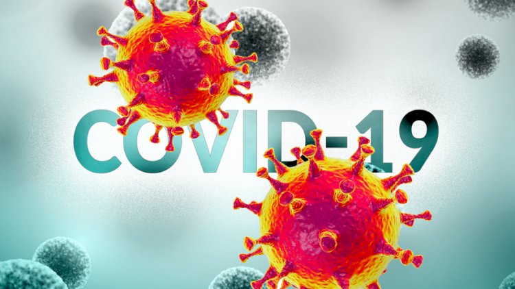    Daha bir pandemiya xəbərdarlığı - Yeni qorxulu virus   