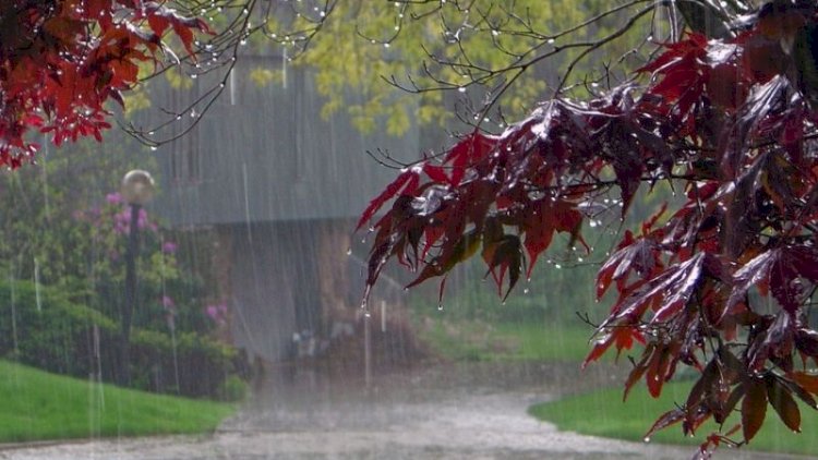    Leysan olacaq, dolu düşəcək - Havaya dair XƏBƏRDARLIQ   