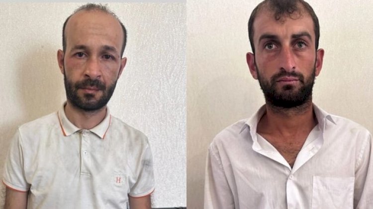    Zərdabda xırdabuynuzlu heyvanları oğurlayan şəxslər saxlanıldılar   