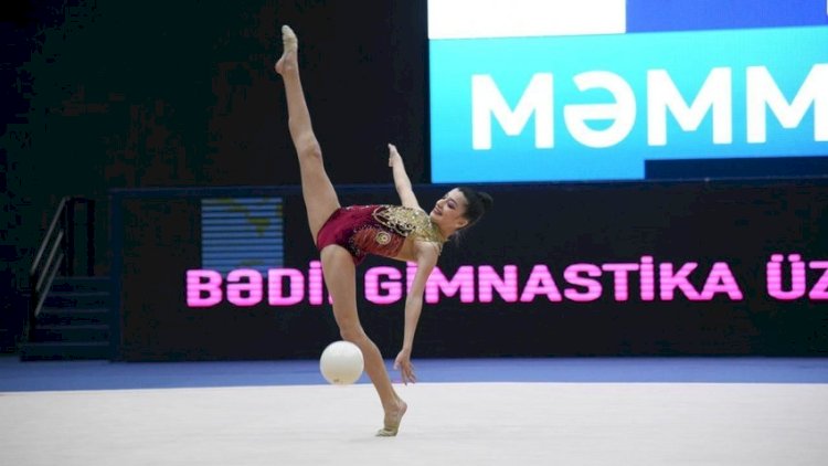    Azərbaycan gimnastları Monteneqroda yeddi qızıl medal qazandılar   