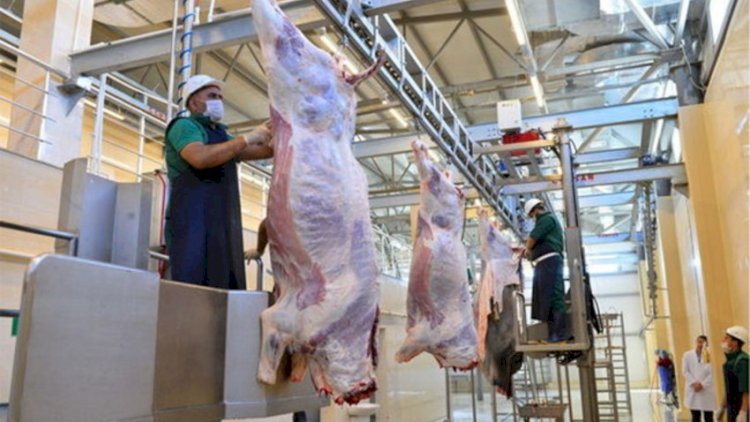    AQTA Qurban bayramı ilə bağlı əhaliyə çağırış etdi   