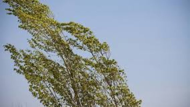    Küləkli hava şəraiti ilə bağlı sarı xəbərdarlıq   