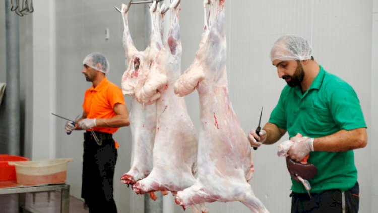    Qurbanlıq heyvanların kəsim və satış yerləri açıqlandı -   SİYAHI