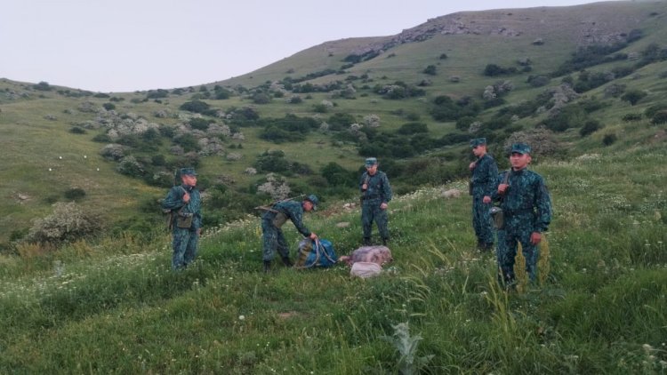    Sərhəddə narkotik aşkarlandı   