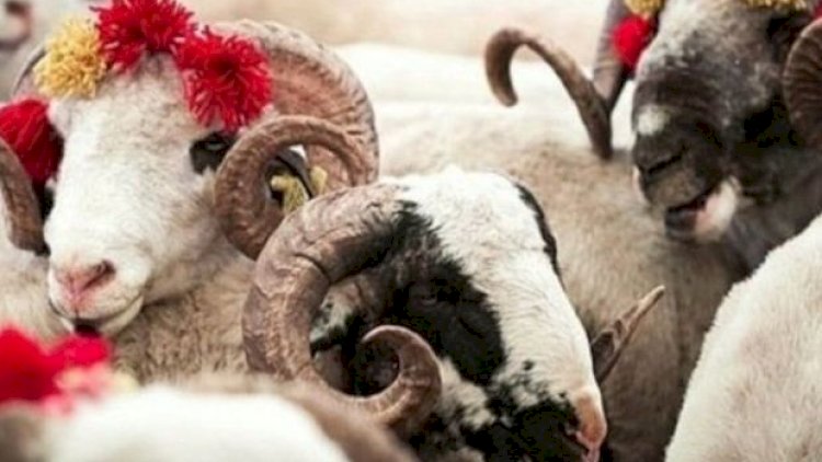    Qurban payını qonşulara paylamaq olmaz? -   VACİB MƏLUMAT