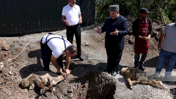    32 ildən sonra ilk dəfə Şuşaya köçürülmüş sakinlər üçün qurbanlar kəsilib - FOTO   