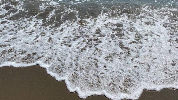    Azərbaycanlı gənc Türkiyədə dənizdə boğuldu   