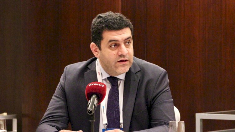    Visa to keep supporting women entrepreneurs in Azerbaijan - senior director    