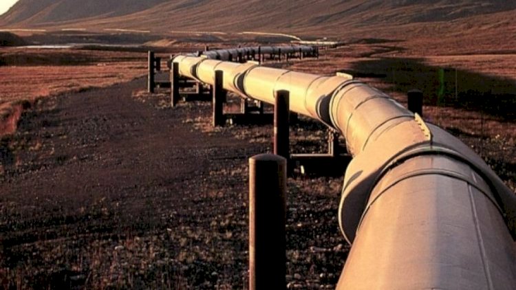    Azerbaijan reveals its revenues from main oil pipelines   