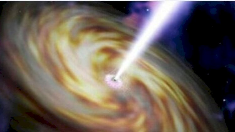    Yeni qiyamət ssenarisi: göbələklər insanlığın sonunu gətirəcək    