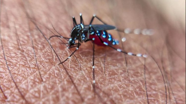    Qonşu ölkədə yayılmış qorxunc xəstəlik – Epidemiya yeni COVID-19 ola bilər   