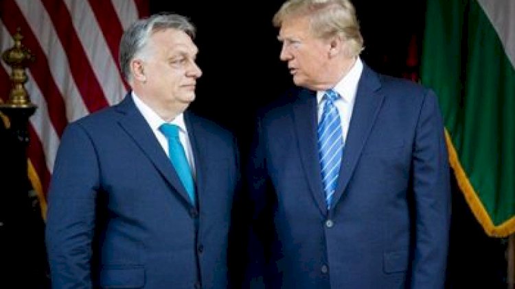    Qapalı Tramp-Orban görüşü: Nəyi müzakirə edəcəklər?   
