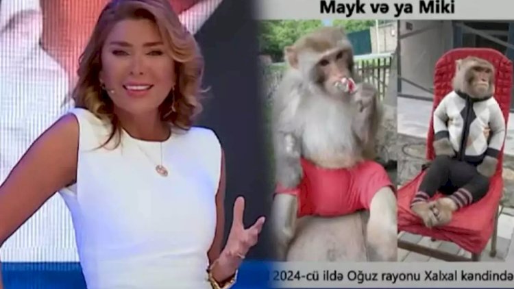    “İtlərim üçün ağlayanda marketdə mənə gülürdülər ki, başı xarabdır” - Video   