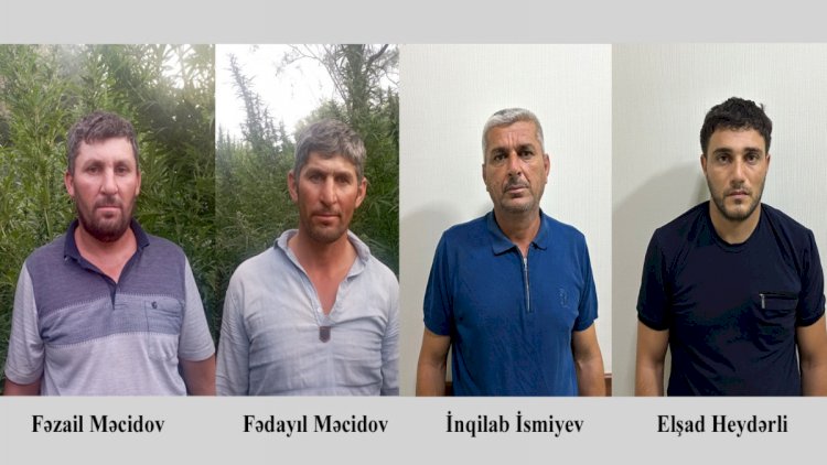    Sabirabad sakinlərindən ağlasığmaz əməl: Fermada görün nə ediblər   
