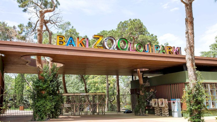    Zoopark da qiyməti qaldırdı - FOTO    