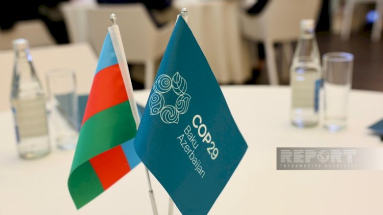    COP29 in Baku: A litmus test for global climate action   