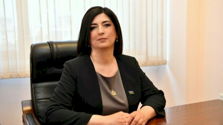    YAP-ın siyahısına düşməyən xanım deputat danışdı    