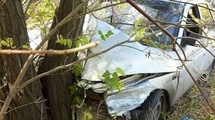    Salyanda avtomobil ağaca çırpılıb - Xəsarət alanlar var   