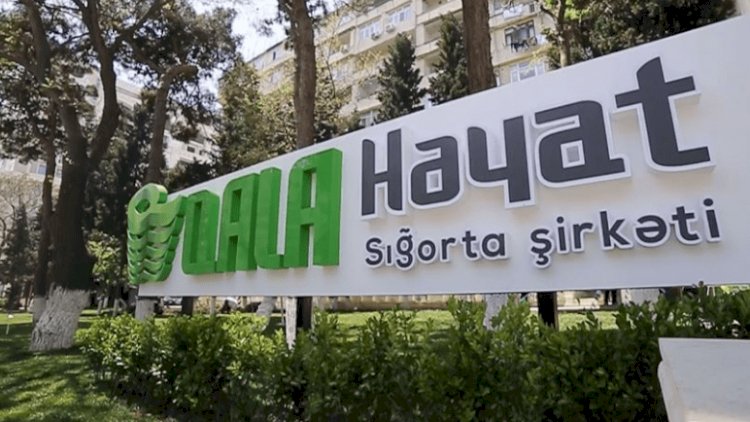    “Qala Həyat” enişdə: Biznes itkiləri 1 milyon manata yaxınlaşır   